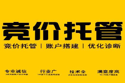 案例分析：百度竞价托管助力行业龙头